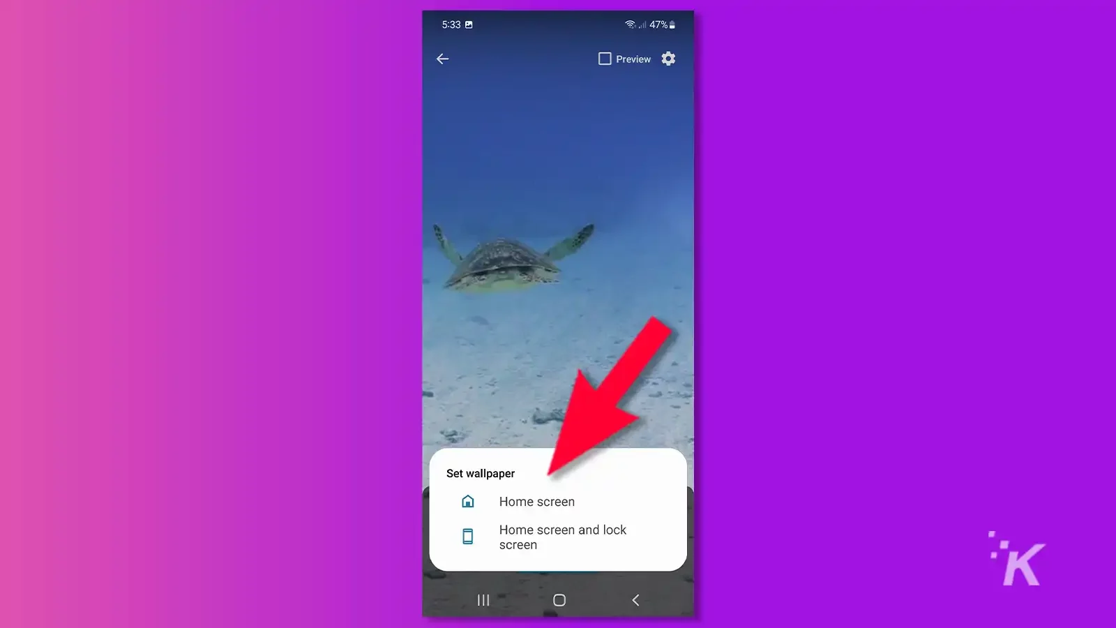 Video to Wallpaper with arrow pointing to Home screen